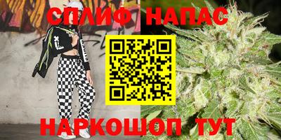 Альфа ПВП Гагарин