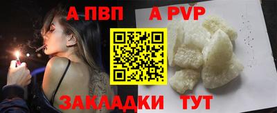 ECSTASY Гатчина